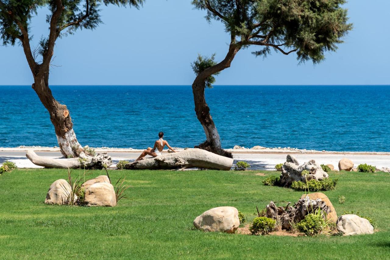 Artemis Seafront Villa, An Evanescence Sea Retreat, By Thinkvilla Tavronitis Exteriér fotografie